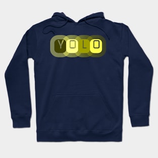 YOLO (2) Hoodie